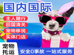 虹桥航空快递国际宠物托运 【国